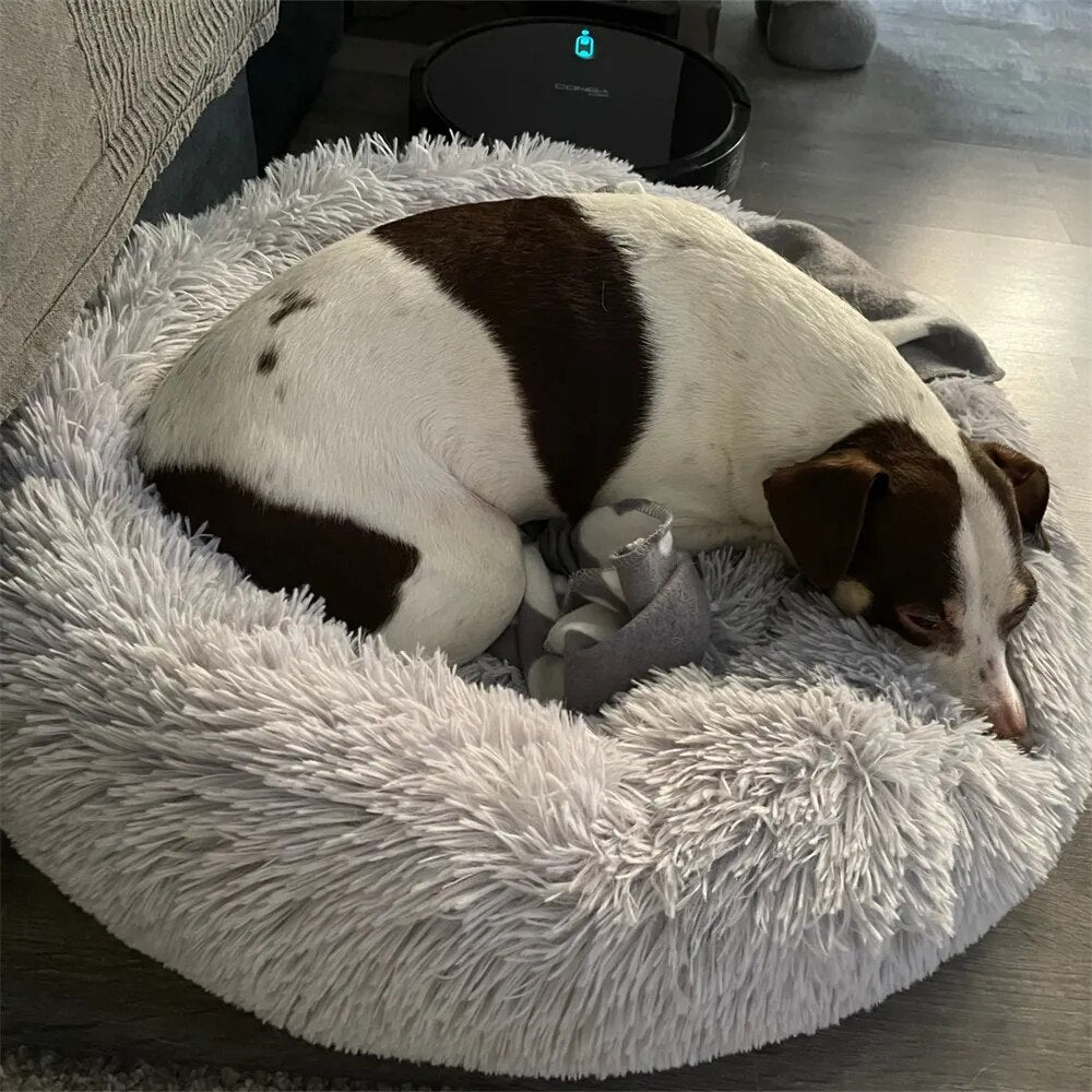 Amsterra™ - Super Soft Dog Bed